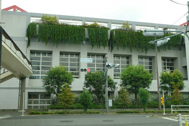 小学校　市立小平第六小学校（小学校）まで530m