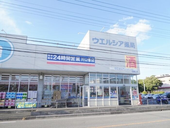ドラックストア　ウエルシア川口峯店（ドラッグストア）まで1224m