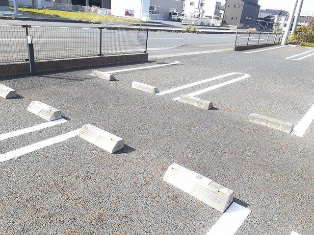Fruitのその他写真