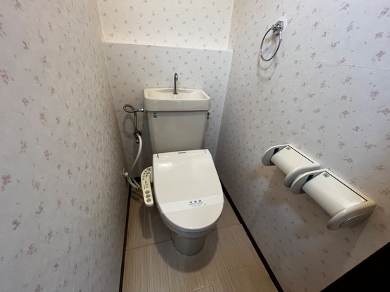 グリーンハイツ吉田のトイレ写真