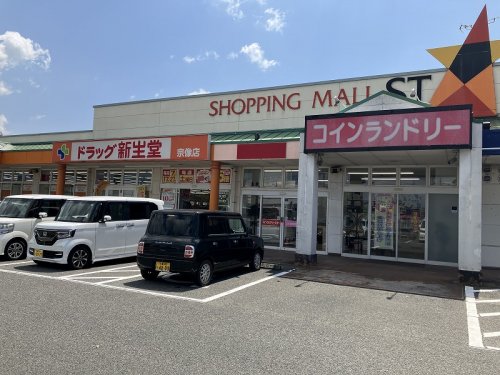 ドラックストア　ドラッグ新生堂宗像店（ドラッグストア）まで352m