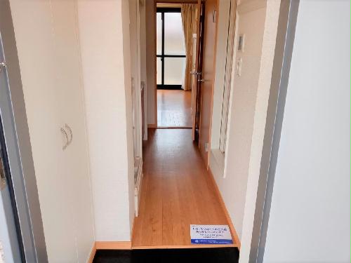 玄関　現況優先