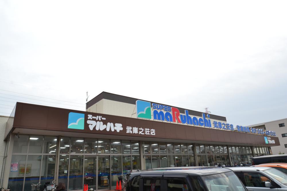 スーパー　マルハチ 園田店（スーパー）まで167m