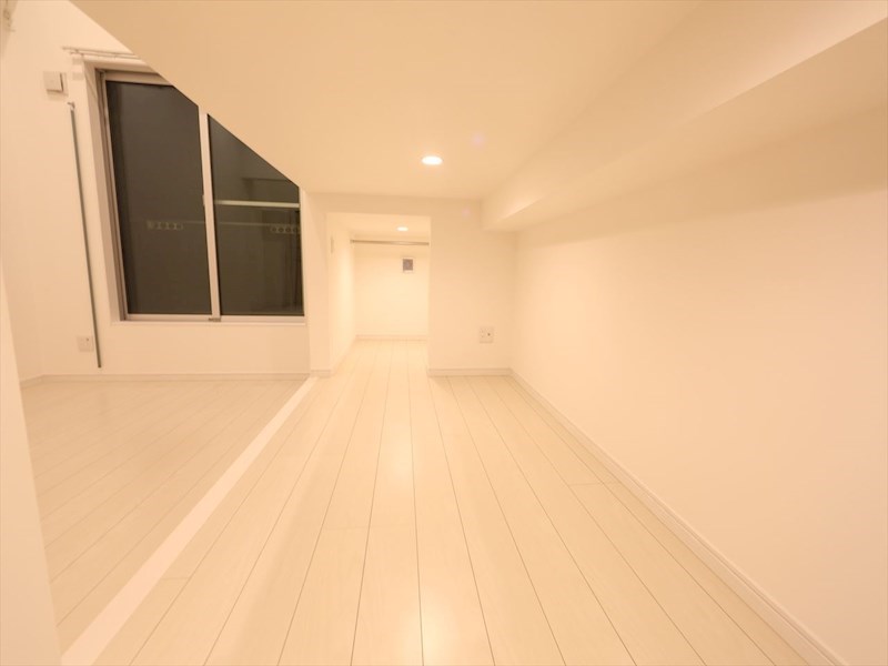 その他部屋・スペース　アンダーロフト4.9帖（収納としても寝室としても使えます）