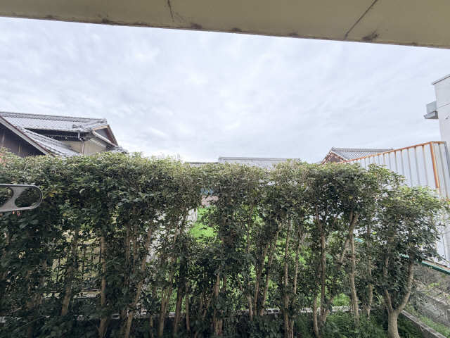 眺望　１階眺望