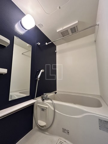 バス・シャワールーム　La Douceur谷町（ラ・ドゥセール谷町）　浴室