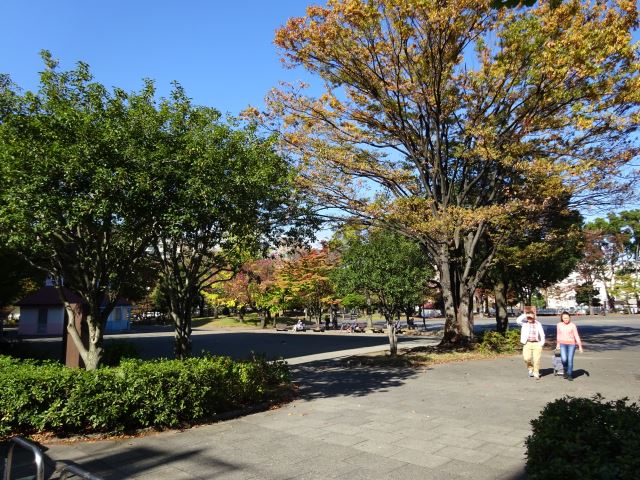 公園　反町公園（公園）まで10m