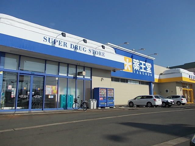 ドラックストア　薬王堂　湯沢店（ドラッグストア）まで1100m
