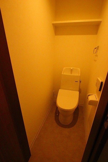 トイレ　同物件、別号室のものです。