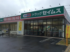ドラックストア　ドラッグセイムス守山新城薬局（ドラッグストア）まで478m