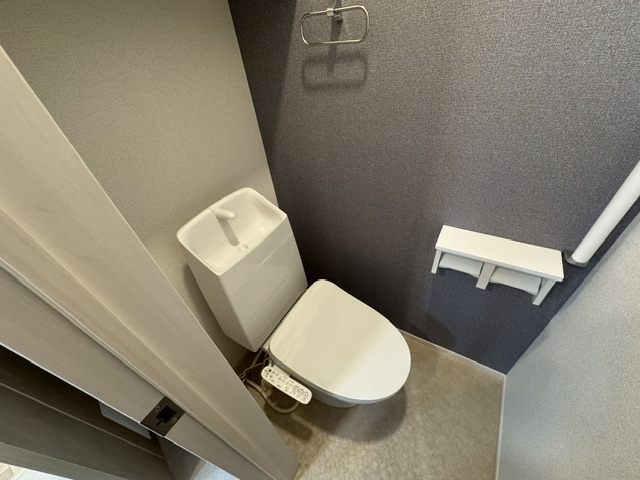 Sallierのトイレ写真