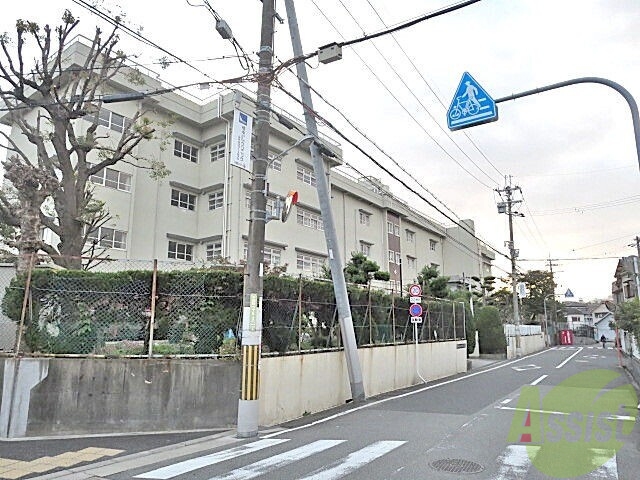 小学校　千成小学校（小学校）まで484m