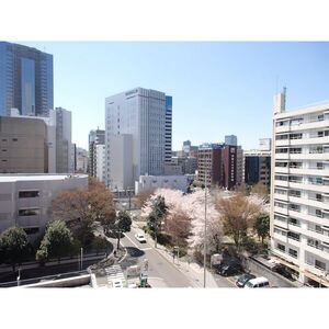 ゼルコウバ中山ハイツ花京院のその他写真