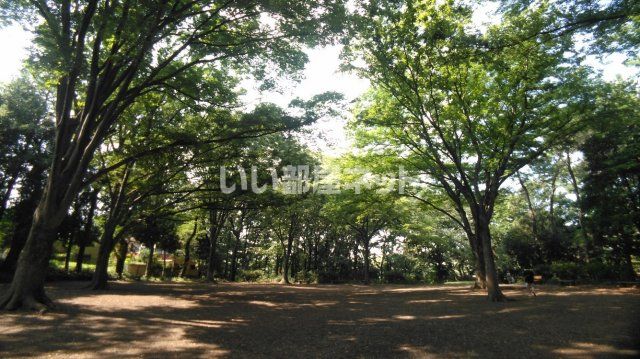 公園　東京都立石神井公園（公園）まで378m