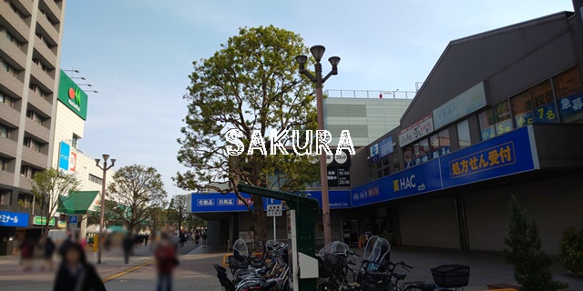 ドラックストア　ハックドラッグ瀬谷駅北口店（ドラッグストア）まで499m