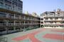 小学校　富士見小学校（小学校）まで243m
