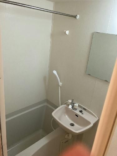 レオネクストサンハイムかわなかの風呂写真