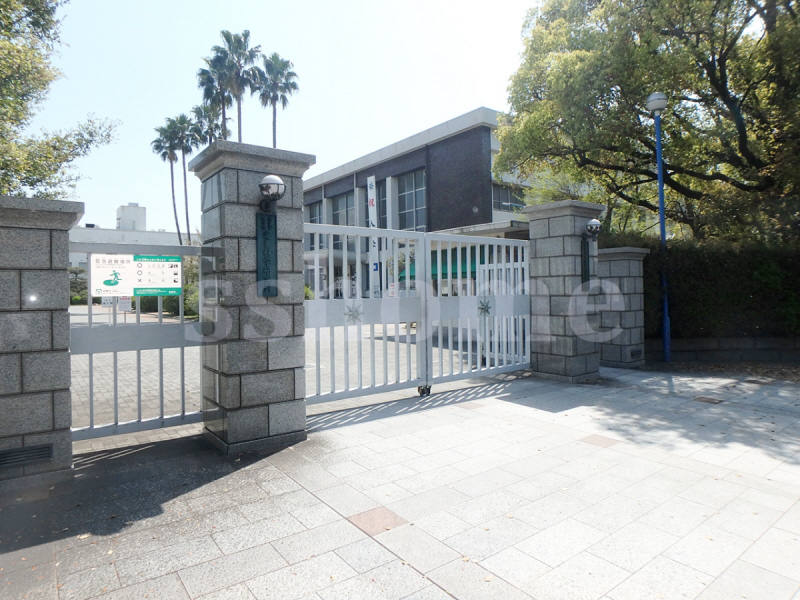 大学・短大　神戸大学深江キャンパス（大学・短大）まで587m