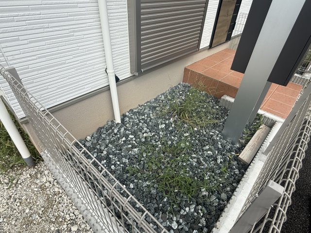 庭