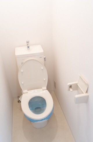東急田園都市線 桜新町駅 徒歩8分 4階建 築41年のトイレ写真