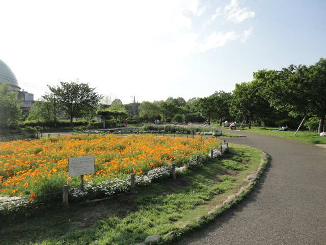 【世田谷区船橋のマンションの公園】