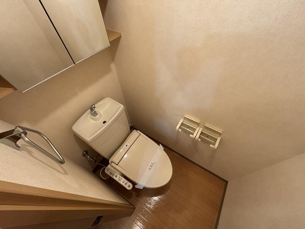 ＪＲ山陽本線 倉敷駅 徒歩1分 5階建 築21年のトイレ写真