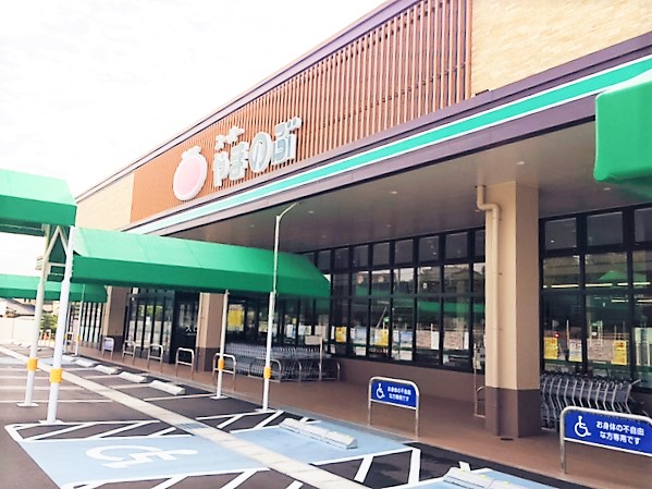 スーパー　スーパーやまのぶ 野見山店（スーパー）まで2061m