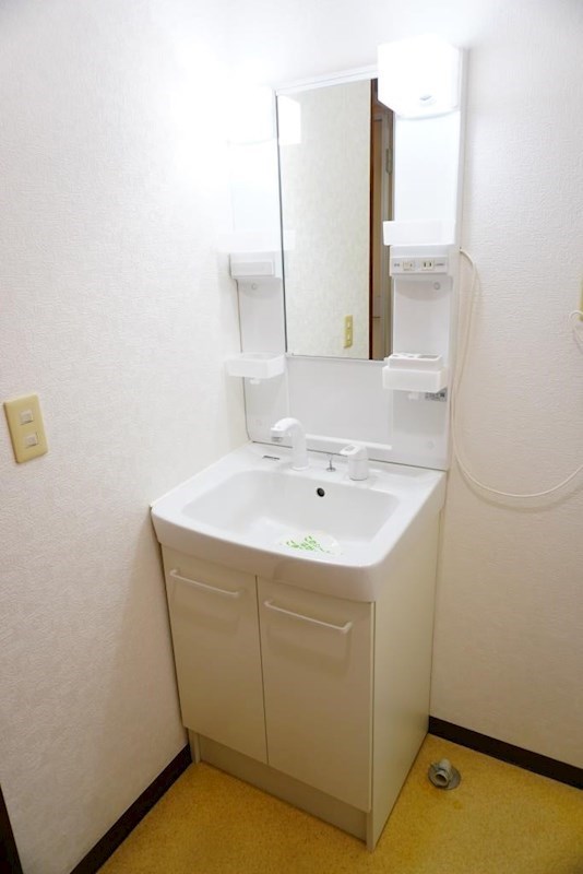 洗面設備　お掃除にも便利なシャワードレッサー