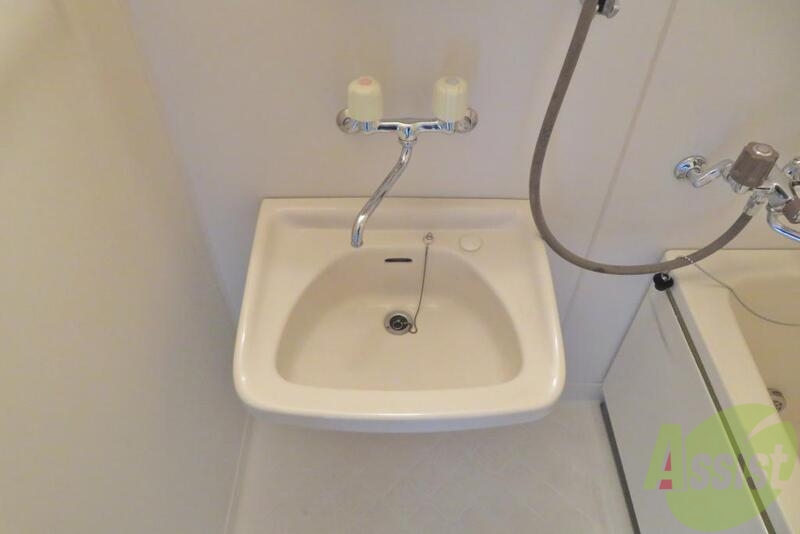 洗面設備　洗面はかわいい感じ。ここを使うか洗面を使うかという感じ。