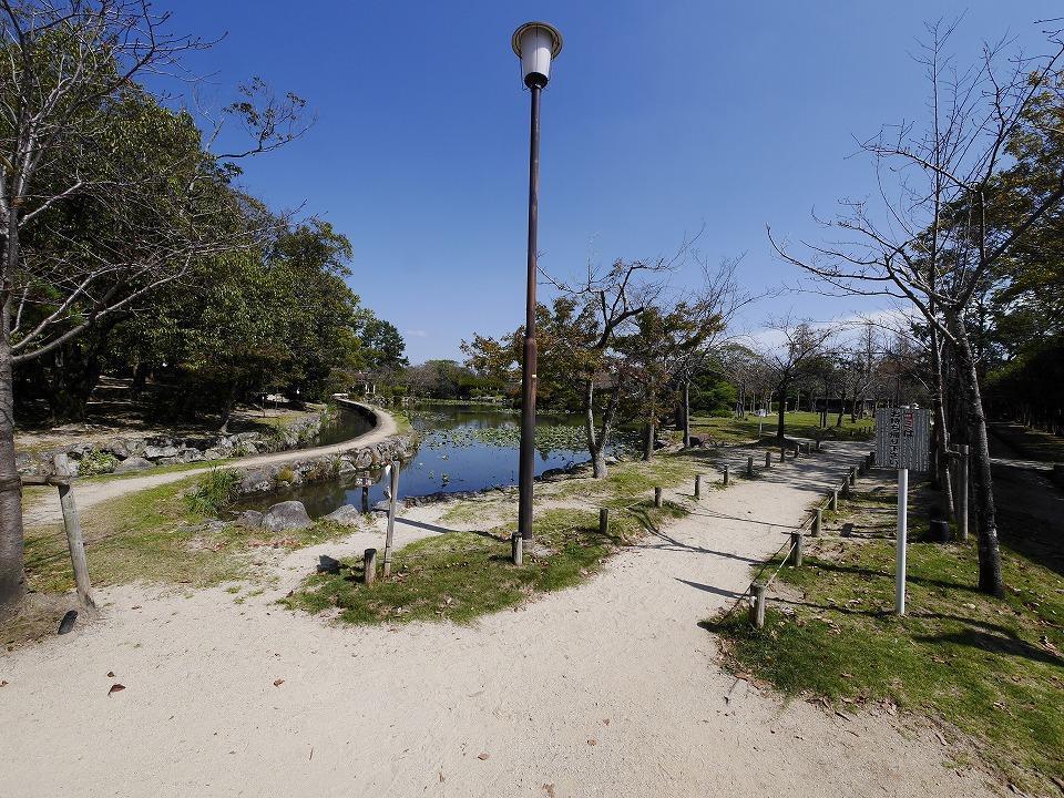 公園　神野公園（公園）まで300m