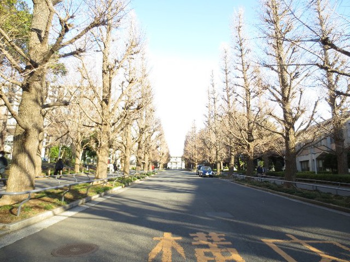 大学・短大　慶應大学日吉キャンパス（大学・短大）まで813m