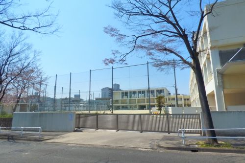 小学校　名古屋市立南養護学校（小学校）まで2006m