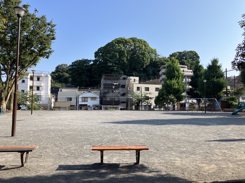 公園　宮ケ谷公園（公園）まで231m
