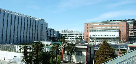 その他　淑徳大学（その他）（その他）まで250m