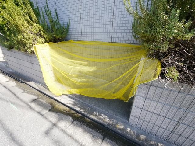 その他　その他（その他）まで10m