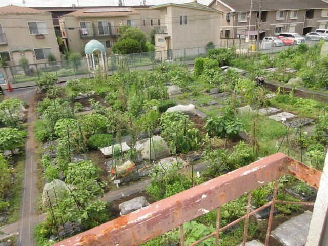 眺望　★お問い合わせはタウンハウジングまで★