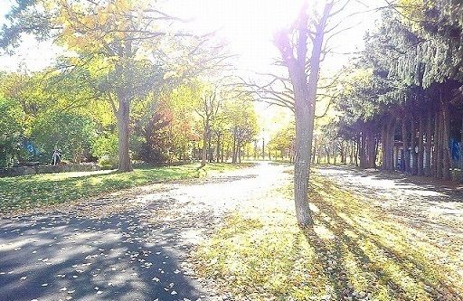 公園　屯田西公園（公園）まで200m