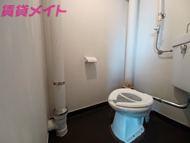 トイレ　同タイプ部屋写真です。