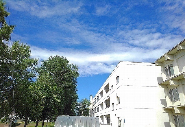 小学校　野幌若葉小学校（小学校）まで950m