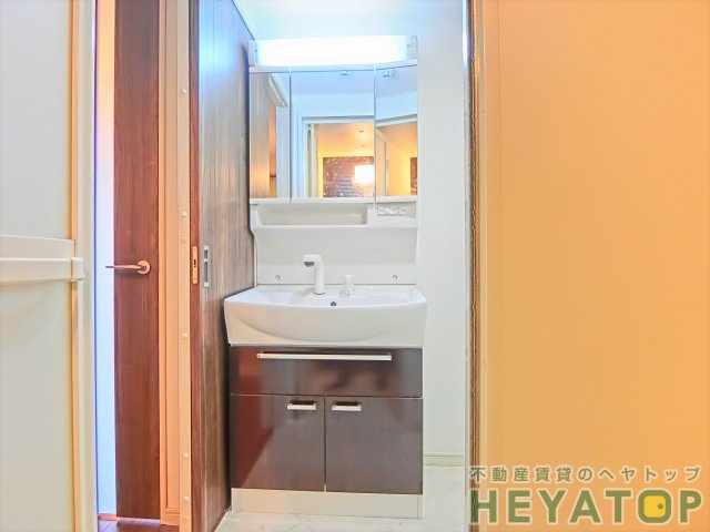 洗面設備　忙しい朝の身支度に便利なシャワー付き洗面化粧台