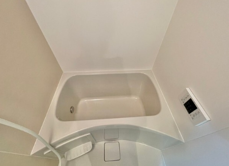 その他　アムール白楽