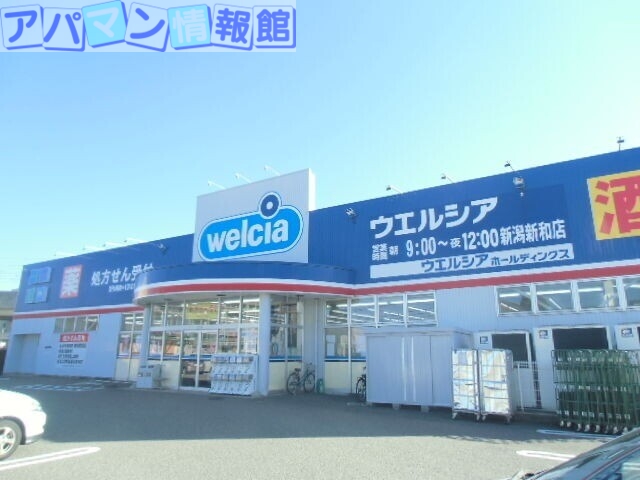 ドラックストア　ウエルシア新潟新和店（ドラッグストア）まで586m