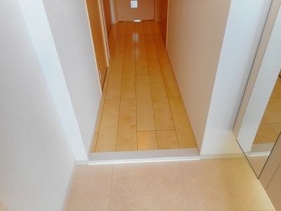 玄関　※同物件他部屋写真 反転の場合有