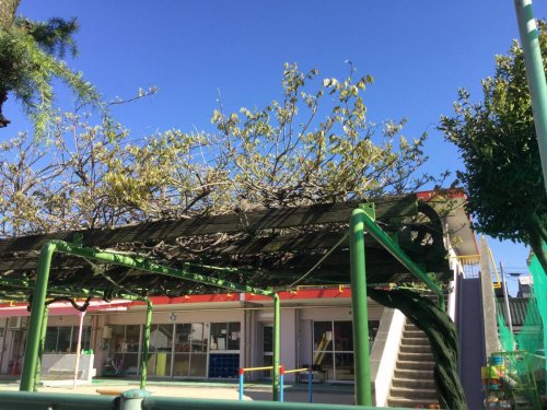 幼稚園・保育園　名古屋市十番保育園（幼稚園・保育園）まで471m