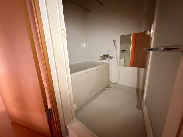 バス・シャワールーム　同一タイプです。