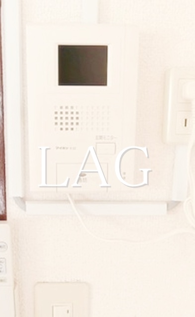 セキュリティ　TVモニター付インターホンです。