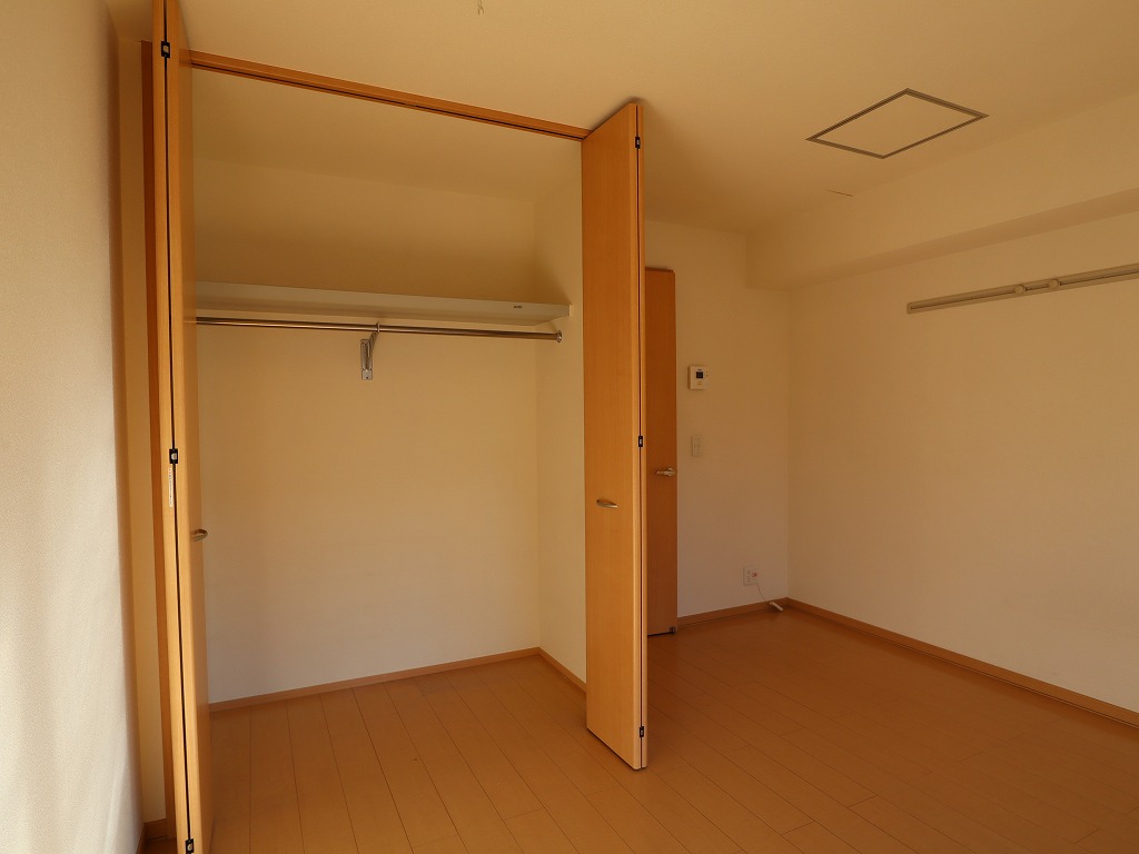 収納　大型クローゼット、奥行きもあります。