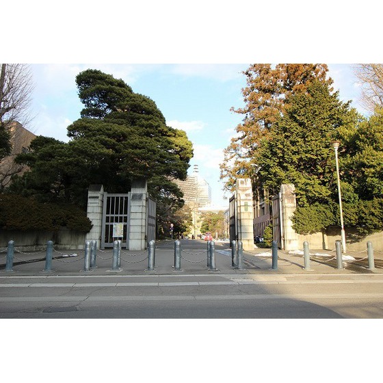 大学・短大　国立東北大学（大学・短大）まで715m