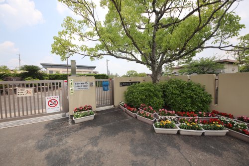 小学校　生駒市立鹿ノ台小学校（小学校）まで1914m