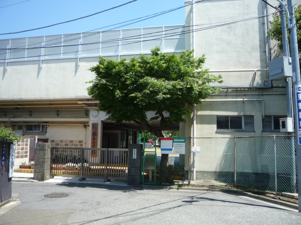 小学校　弥生小学校（小学校）まで304m